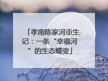 孝南陈家河重生记：一条“幸福河”的生态蝶变