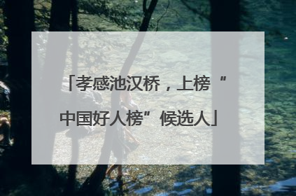 孝感池汉桥，上榜“中国好人榜”候选人