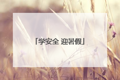 学安全 迎暑假