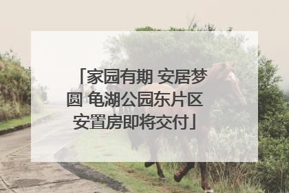 家园有期 安居梦圆 龟湖公园东片区安置房即将交付