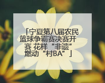 宁夏第八届农民篮球争霸赛决赛开赛 花样“非遗”燃动“村BA”