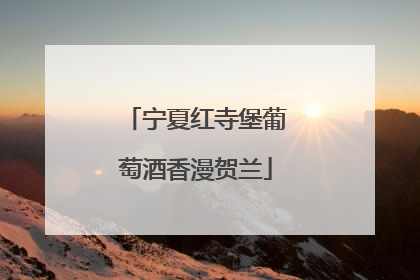 宁夏红寺堡葡萄酒香漫贺兰
