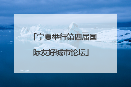宁夏举行第四届国际友好城市论坛