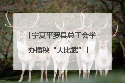 宁夏平罗县总工会举办插秧“大比武”