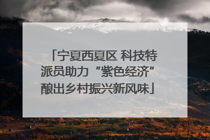 宁夏西夏区 科技特派员助力“紫色经济”酿出乡村振兴新风味