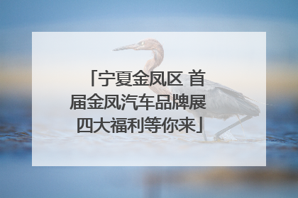 宁夏金凤区 首届金凤汽车品牌展四大福利等你来