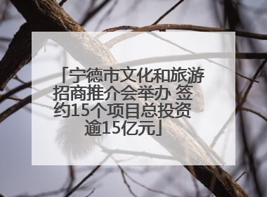 宁德市文化和旅游招商推介会举办 签约15个项目总投资逾15亿元