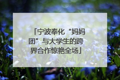 宁波奉化“妈妈团”与大学生的跨界合作惊艳全场