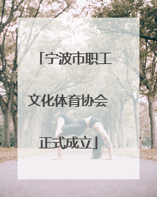 宁波市职工文化体育协会正式成立