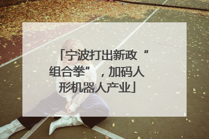 宁波打出新政“组合拳”，加码人形机器人产业