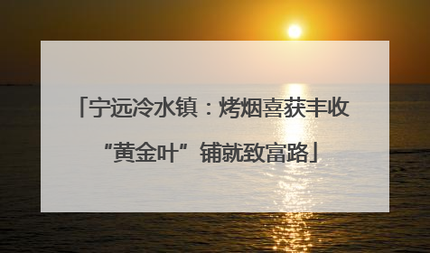 宁远冷水镇：烤烟喜获丰收 “黄金叶”铺就致富路