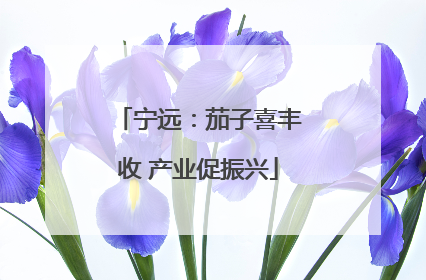 宁远：茄子喜丰收 产业促振兴