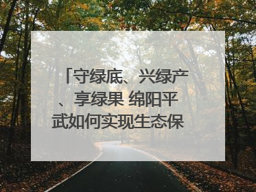 守绿底、兴绿产、享绿果 绵阳平武如何实现生态保护与经济发展双赢？｜新闻发布最前线·深一度