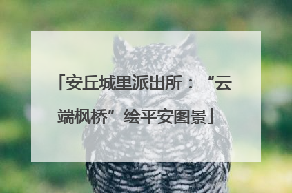 安丘城里派出所：“云端枫桥”绘平安图景