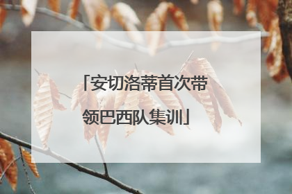 安切洛蒂首次带领巴西队集训