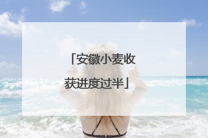 安徽小麦收获进度过半