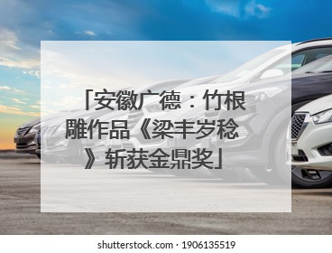 安徽广德：竹根雕作品《梁丰岁稔》斩获金鼎奖