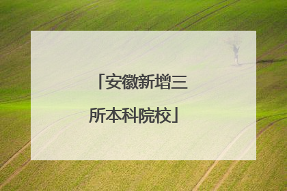 安徽新增三所本科院校