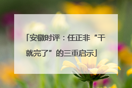 安徽时评：任正非“干就完了”的三重启示