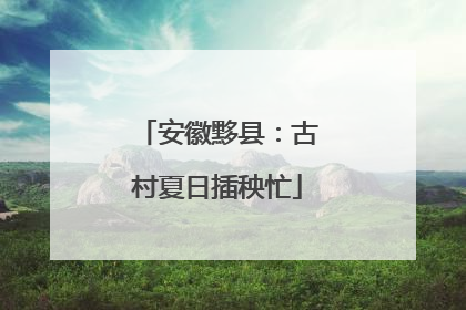 安徽黟县：古村夏日插秧忙