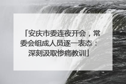 安庆市委连夜开会，常委会组成人员逐一表态：深刻汲取惨痛教训