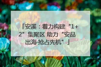 安溪：着力构建“1+2”集聚区 助力“安品出海·抢占先机”