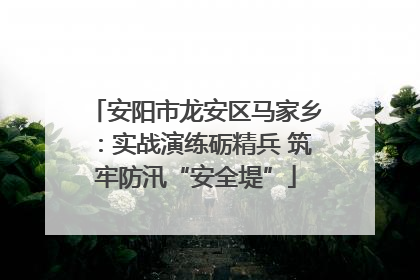 安阳市龙安区马家乡：实战演练砺精兵 筑牢防汛“安全堤”