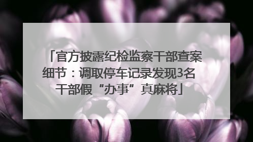 官方披露纪检监察干部查案细节：调取停车记录发现3名干部假“办事”真麻将