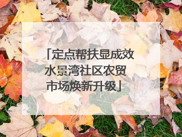 定点帮扶显成效 水景湾社区农贸市场焕新升级