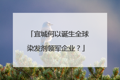 宜城何以诞生全球染发剂领军企业？