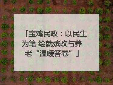 宝鸡民政：以民生为笔 绘就殡改与养老“温暖答卷”