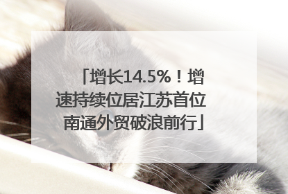 增长14.5%！增速持续位居江苏首位 南通外贸破浪前行