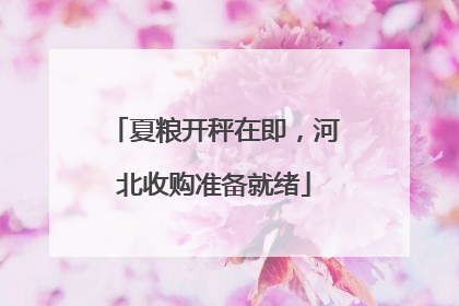 夏粮开秤在即，河北收购准备就绪