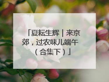 夏耘生辉｜来京郊，过农味儿端午（合集下）