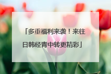 多重福利来袭！来往日韩经青中转更精彩