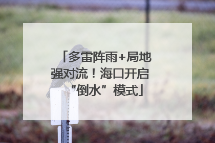 多雷阵雨+局地强对流！海口开启“倒水”模式