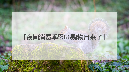夜间消费季暨66购物月来了