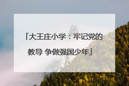 大王庄小学：牢记党的教导 争做强国少年
