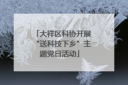 大祥区科协开展“送科技下乡”主题党日活动
