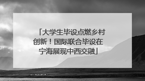 大学生毕设点燃乡村创新！国际联合毕设在宁海展现中西交融