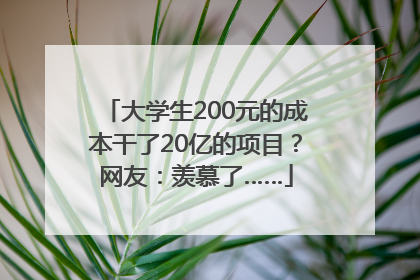 大学生200元的成本干了20亿的项目？网友：羡慕了……