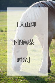 天山脚下的闽茶时光
