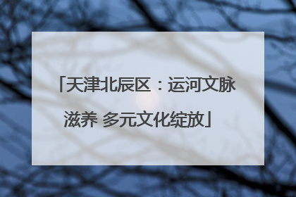 天津北辰区：运河文脉滋养 多元文化绽放