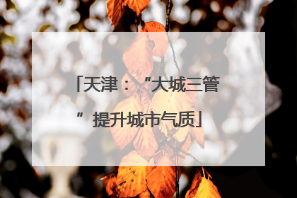 天津：“大城三管”提升城市气质