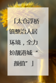 太仓浮桥镇整治人居环境，全力扮靓港城“颜值”