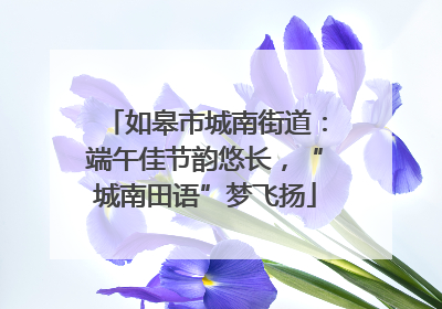 如皋市城南街道：端午佳节韵悠长，“城南田语”梦飞扬
