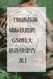 如通苏湖城际铁路跨G50特大桥连续梁合龙