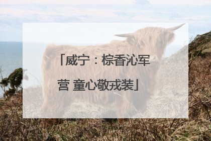 威宁：棕香沁军营 童心敬戎装