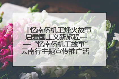忆南侨机工烽火故事 启爱国主义新旅程——“忆南侨机工故事”云南行主题宣传推广活动圆满收官