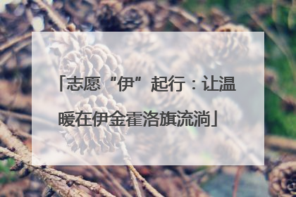 志愿“伊”起行：让温暖在伊金霍洛旗流淌